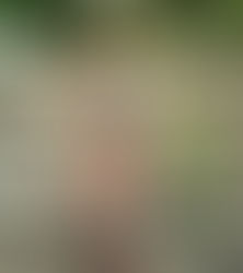 TV Outfits and Where to Get Them