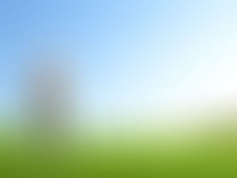 국제 경기 참가 또는 해외 공연...P 비자