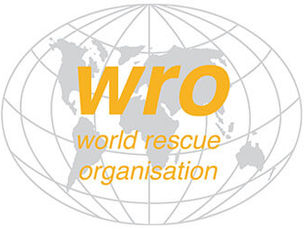 Grelhas de Avaliação do World Rescue Challenge