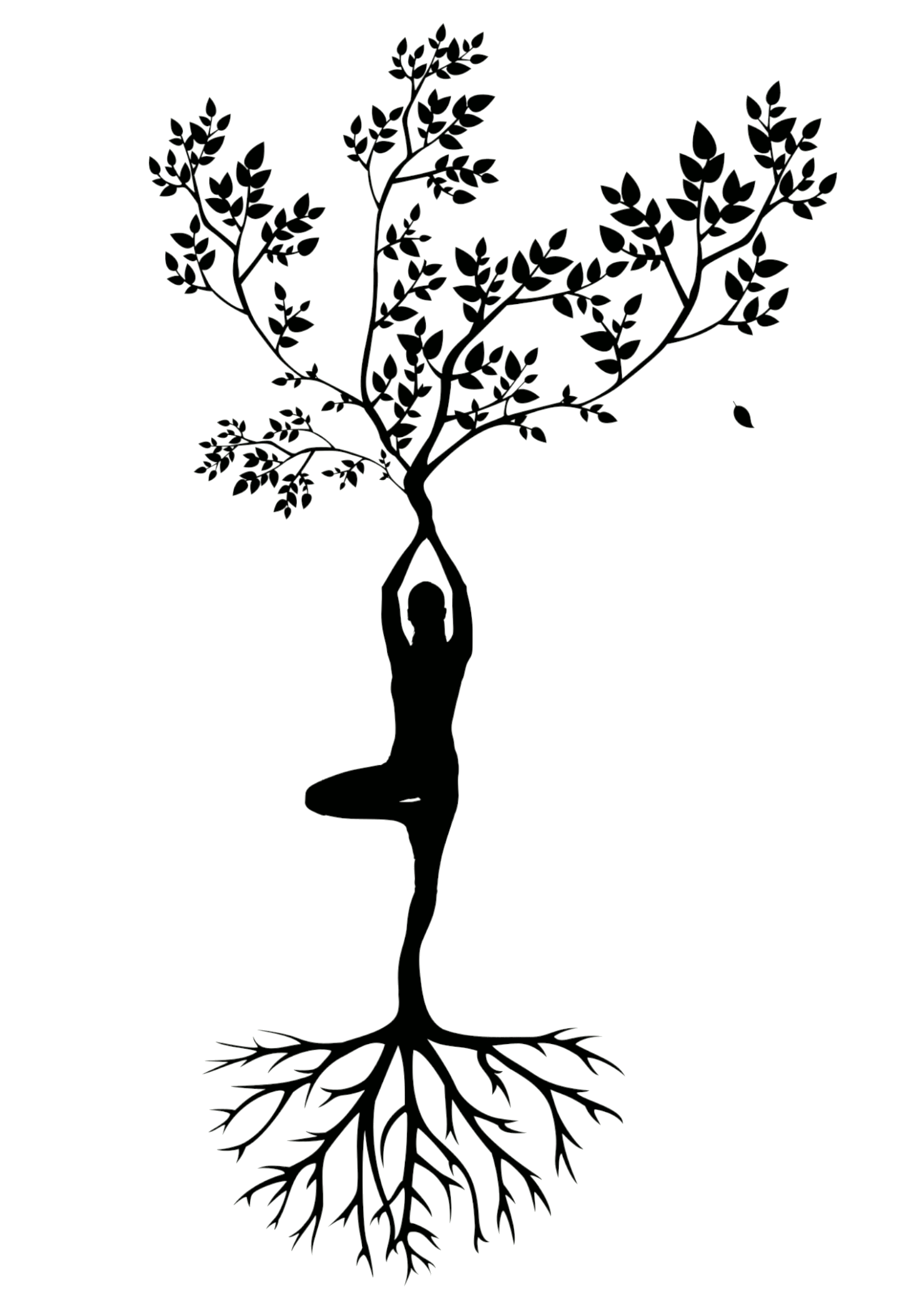 crecimiento y raices.gif