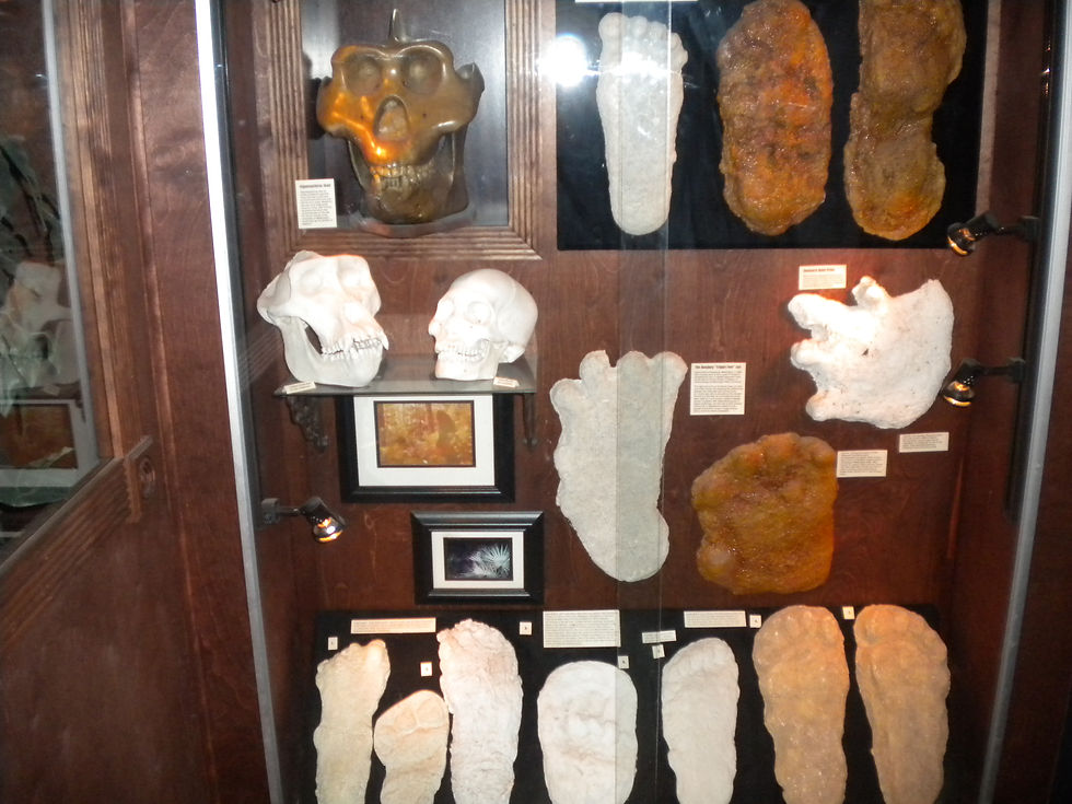 DSCN1684.JPG