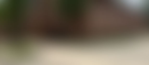 Reflexões de Auschwitz: Uma Visita ao Passado que Molda o Futuro