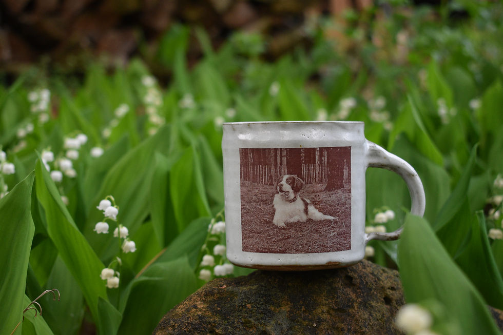 Custom Dog Mug