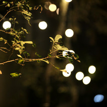 E72A0454_editado.jpg