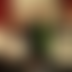 Isso Não É Uma Ilusão