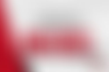 D2 MEN GAME DAY FAN VOTE