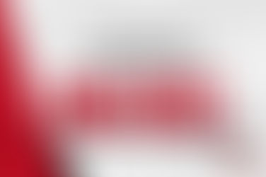 D2 MEN GAME DAY FAN VOTE