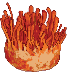 Cordycep Militaris 2.gif