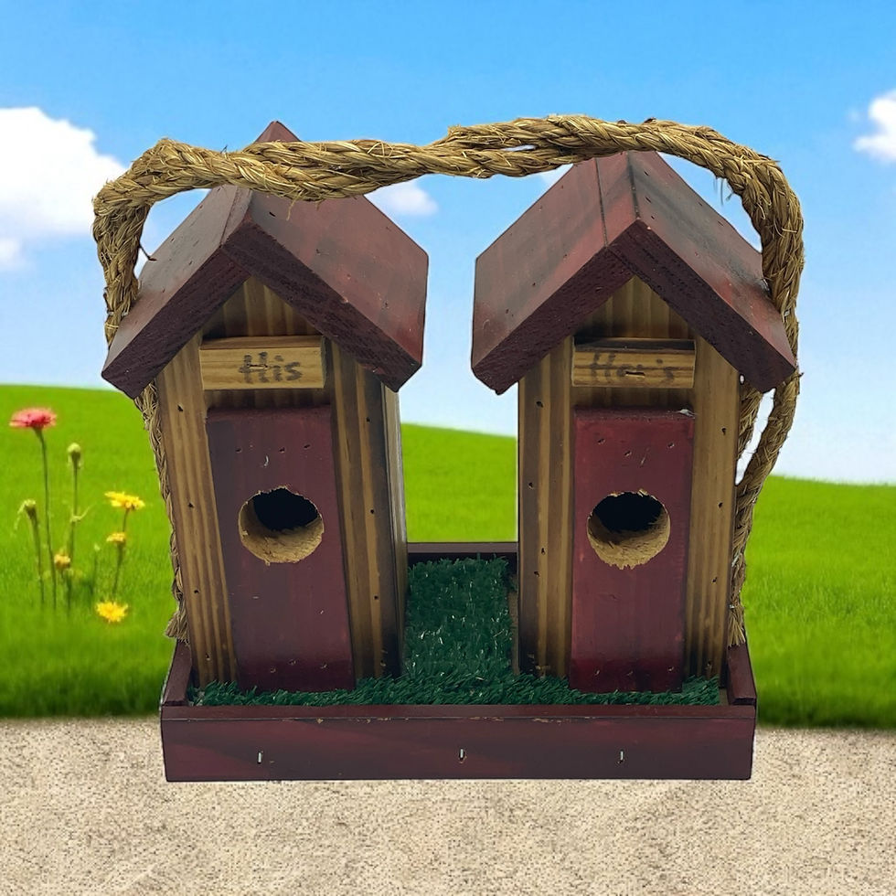 Double wooden birdhouse with His and Hers signs