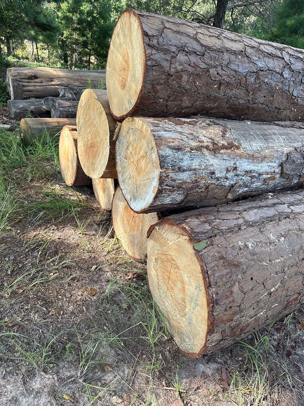 Exploring Sawmill Custom Applications at Tallassee Sawmills