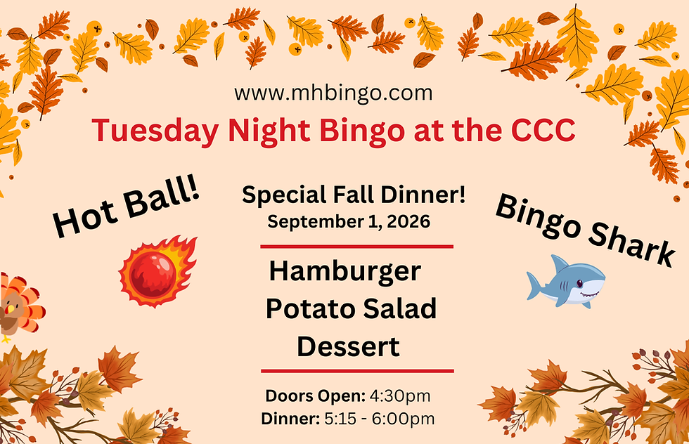 Bingo Flyers.png