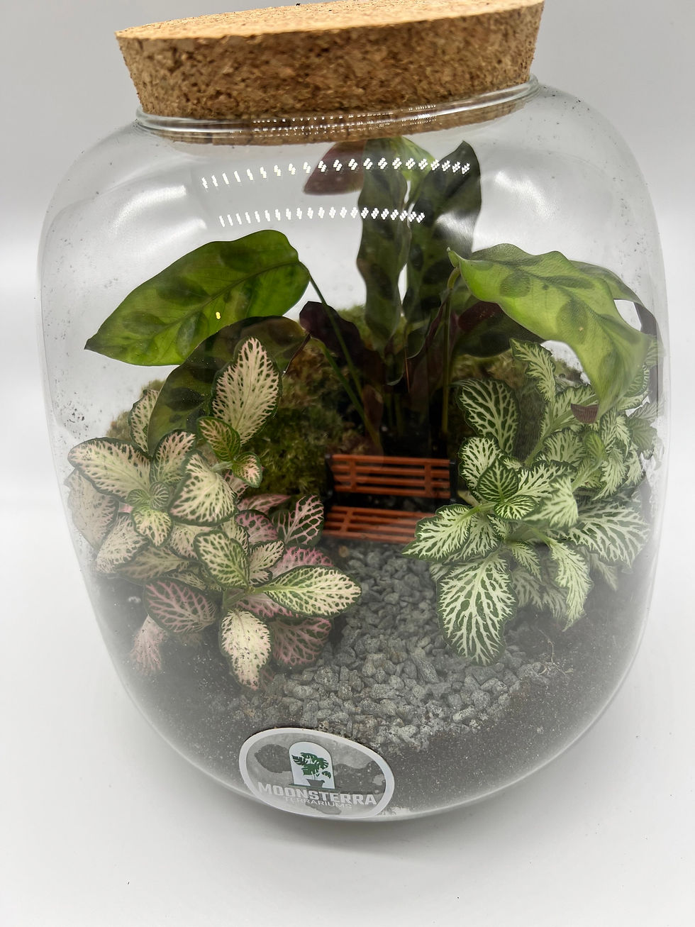 Thumbnail: Terrarium 'Jolien'