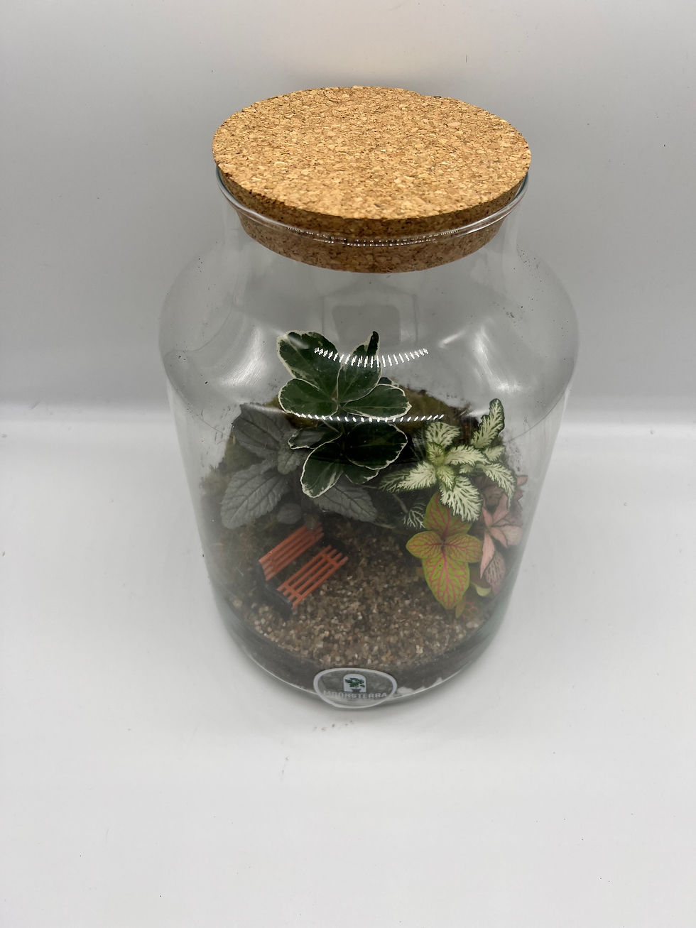 Thumbnail: Terrarium ´Prim´