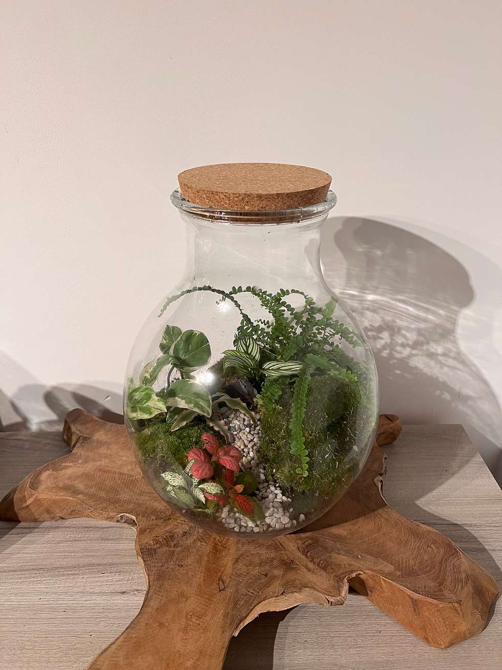 Thumbnail: Terrarium ‘Ivy’
