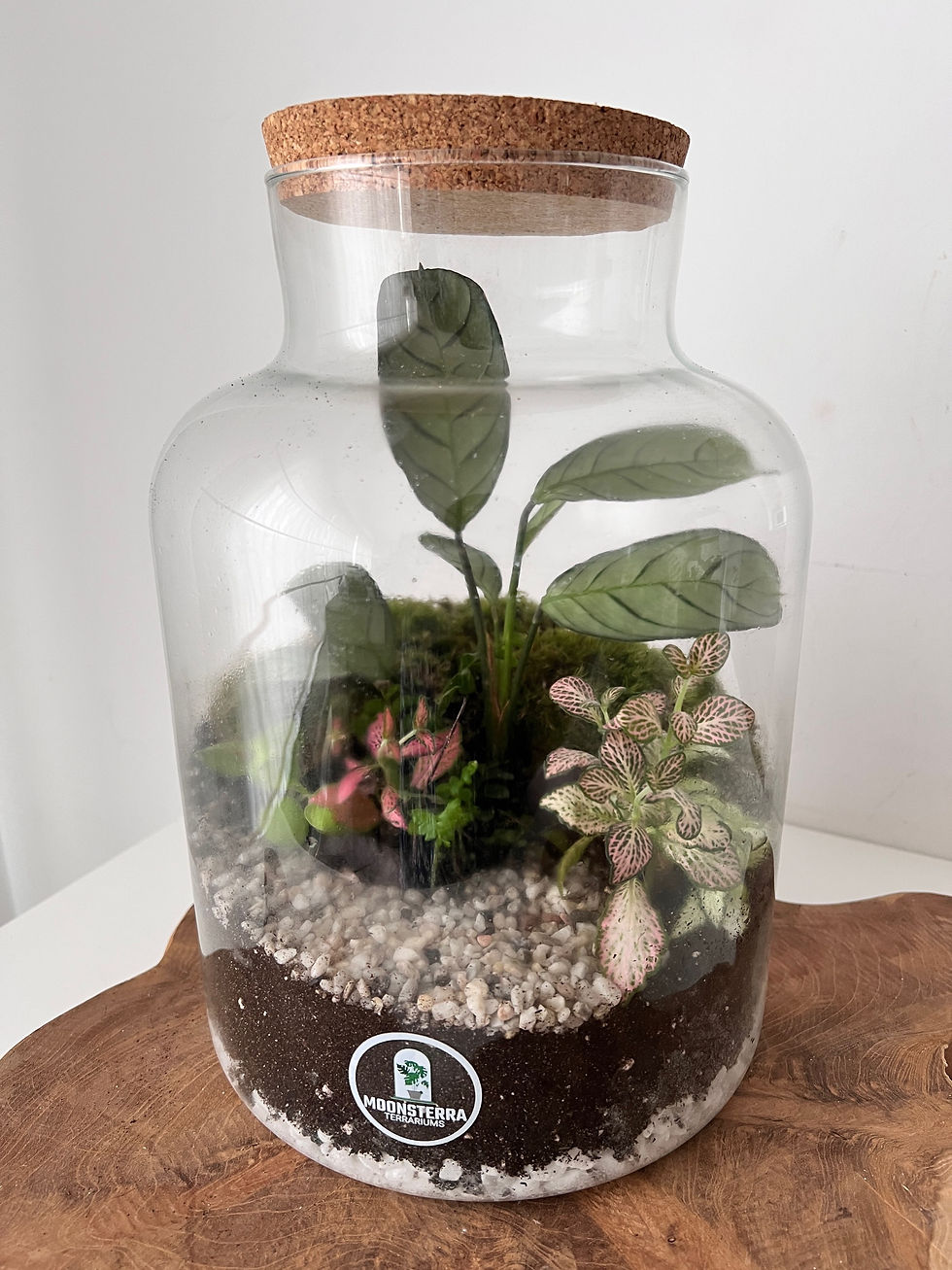 Thumbnail: Terrarium ‘Estelle’