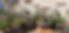 20220419_183838912_iOS.heic