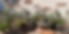 20220419_183838912_iOS.heic