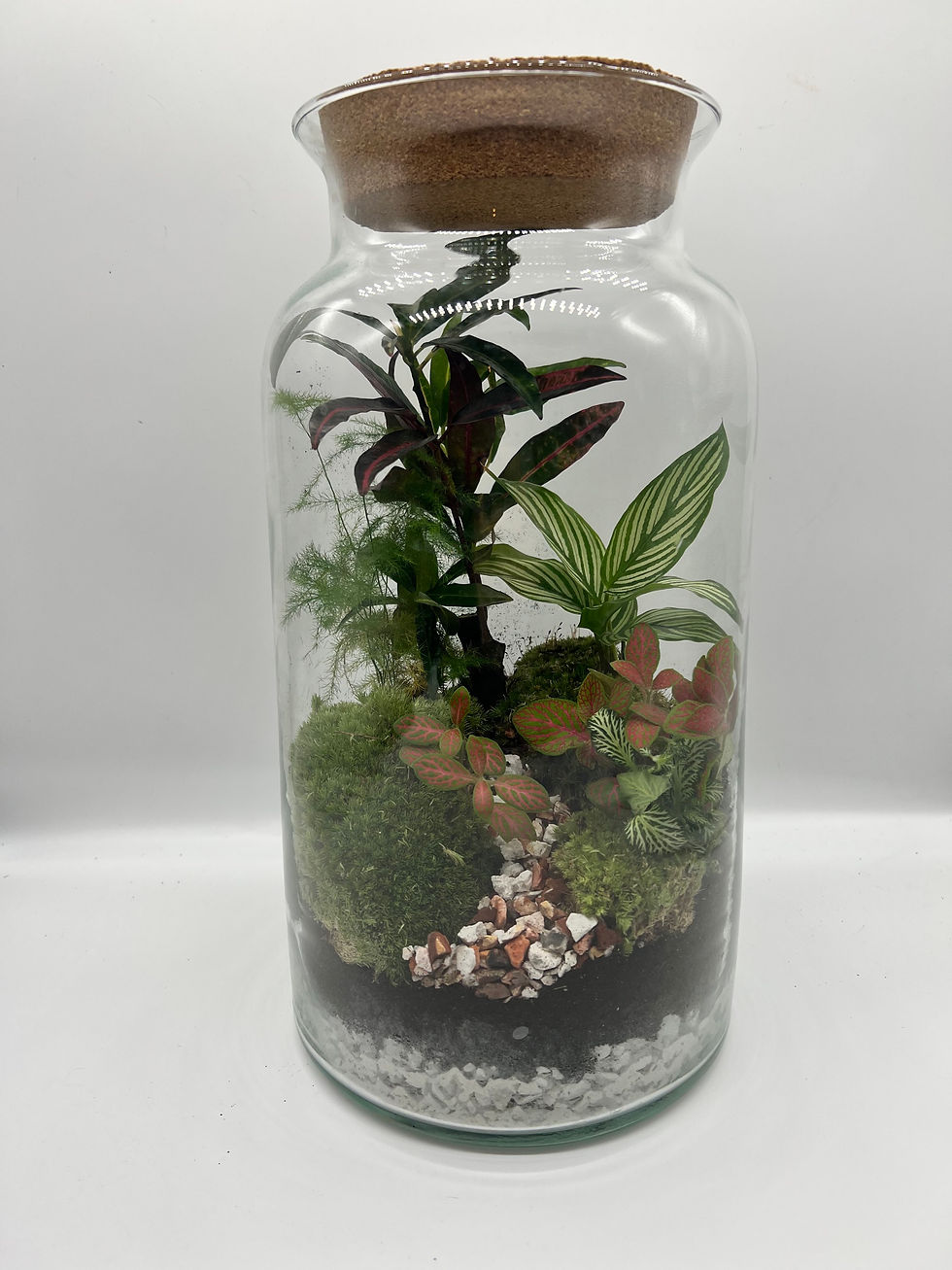 Thumbnail: Terrarium 'Rochella’