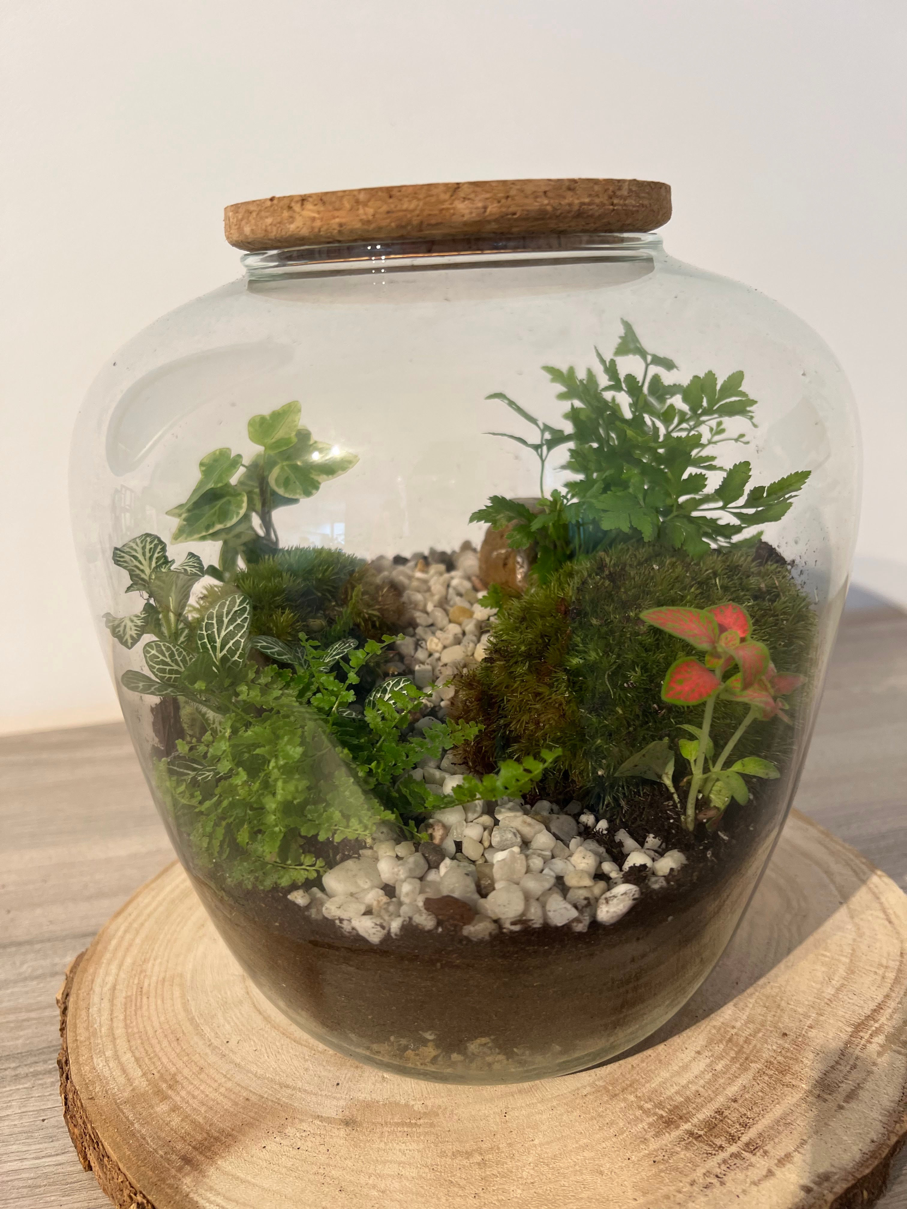 Terrarium 'Nina'