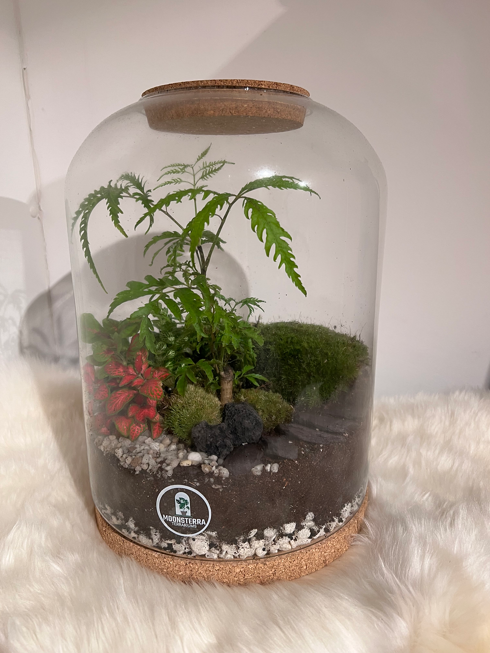 Thumbnail: Terrarium ´Alani´