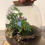 Thumbnail: Terrarium 'Brigitte'