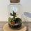 Thumbnail: Terrarium 'Lotte'