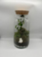 Thumbnail: Terrarium 'Wilma’