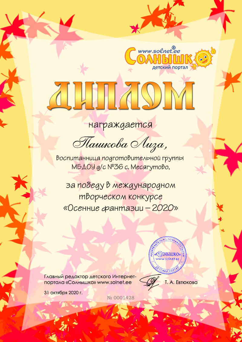 solnet-ee-diplom-0001428