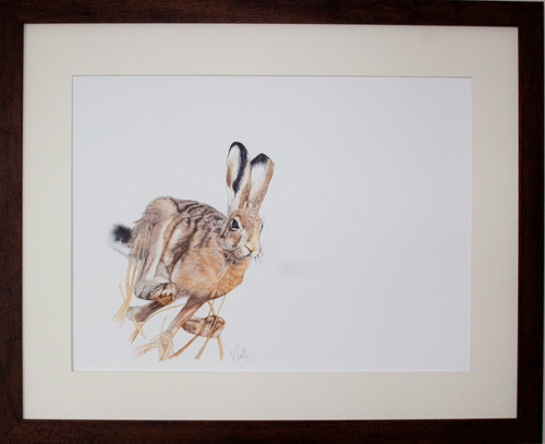 Mad March Hare | Victoria Platt