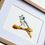 Thumbnail: Bluetit