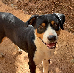 Foto 01.03_edited.jpg