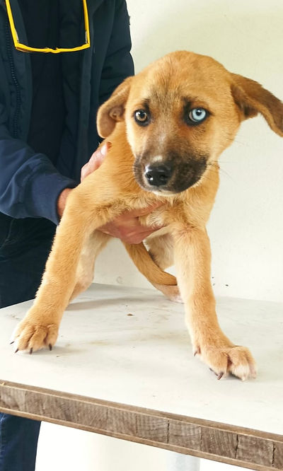 PHOTO-2026-01-13-09-47-49 2.jpg