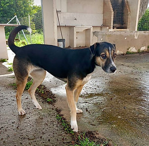 Foto 01.03_edited.jpg