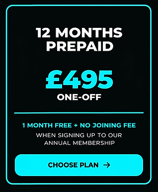 12 months prepaid.png