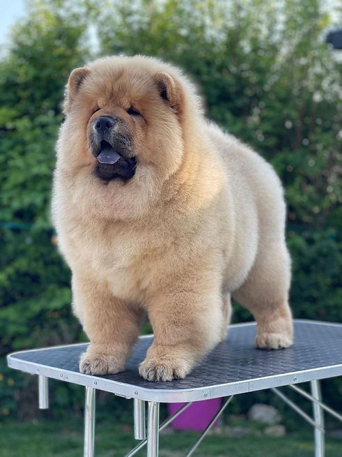 2024-06-20 20.17.52.jpg