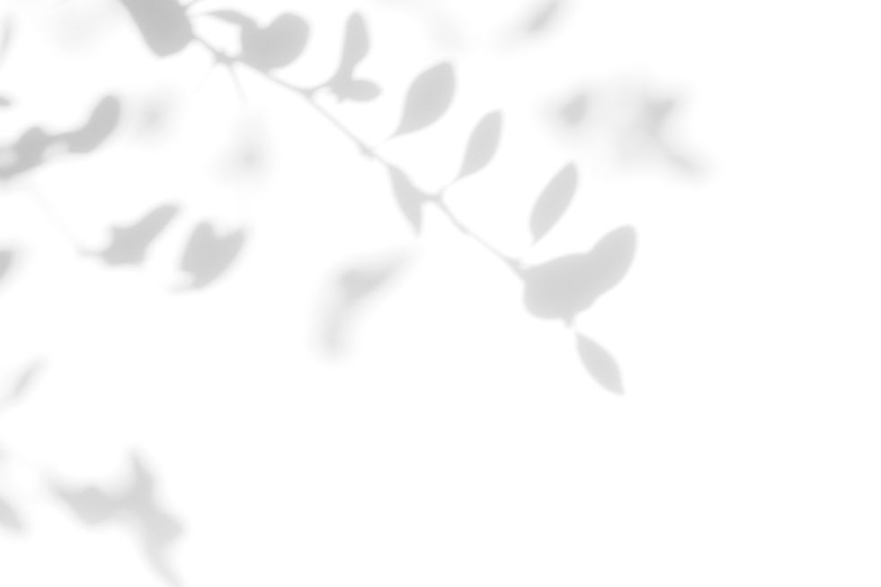 MRH_Concept-01.jpg