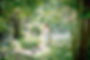 pet-friendly-01.jpg