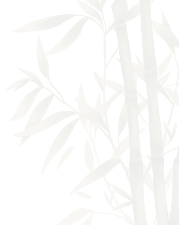 background faded_edited.png