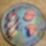 Mochis