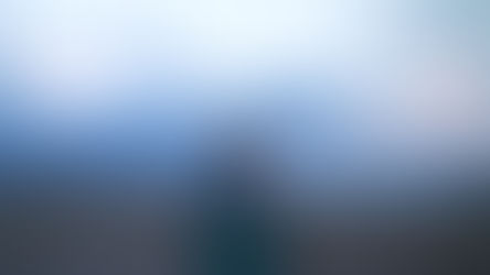 NOMADLAND LEADS 24TH ANNUAL TFCA AWARD WINNERS