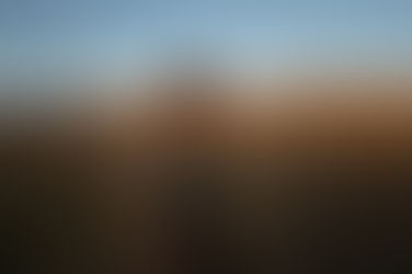 Jane Campion returns to the big screen with “The Power of the Dog” at TIFF 2021