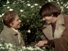 Age is just a number for "Harold and Maude" and "Licorice Pizza" lovers