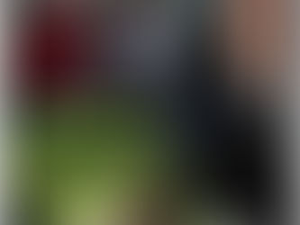 Windsor International Film Festival Scores Jim Jarmusch’s Venice Winner