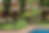Contacto.png