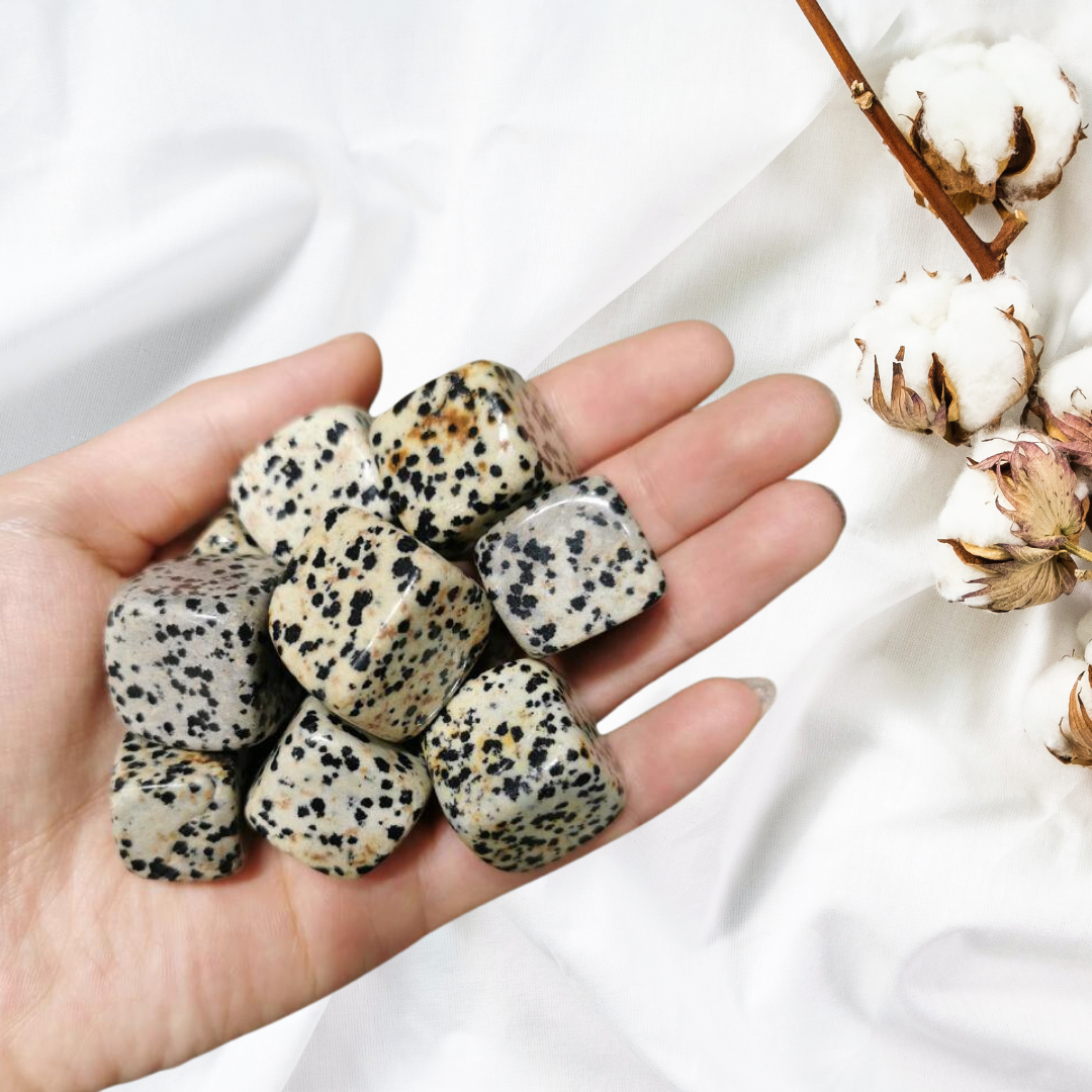 Dalmatian Jasper Cube (DJC1)