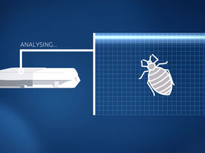 Press Release: Spotta & Stainbusters Cleaning Join Forces to Offer Bed Bug Protection