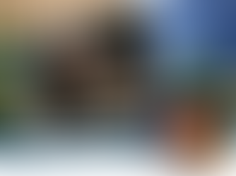 Industry Media - The Hotel Magazine