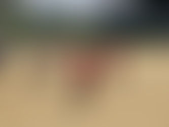 女子ソフトボール春球会