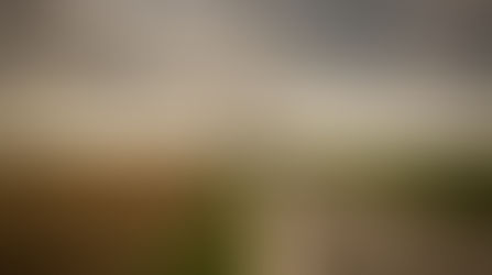 Şeyler Bildiğiniz Gibi Değil