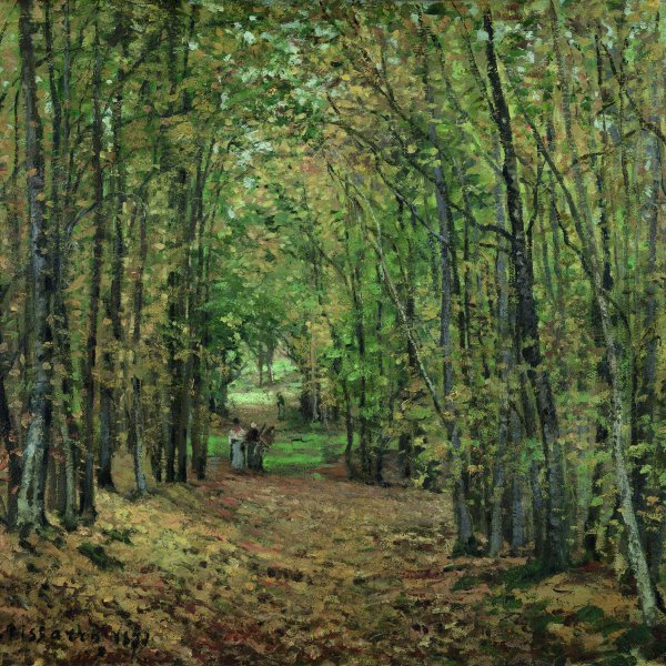 Bosque